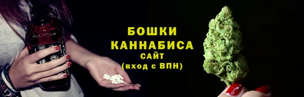 бошки Алексин