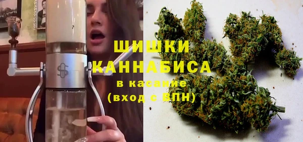 бошки Алексин