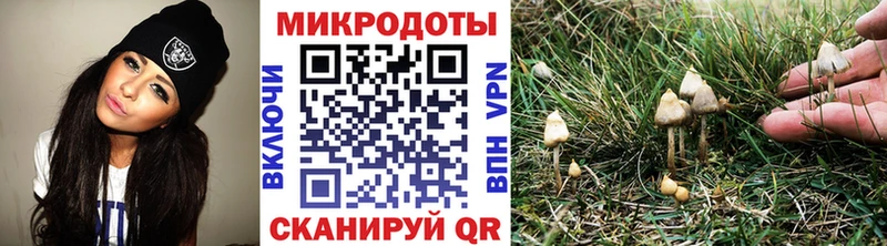 Псилоцибиновые грибы MAGIC MUSHROOMS Безенчук