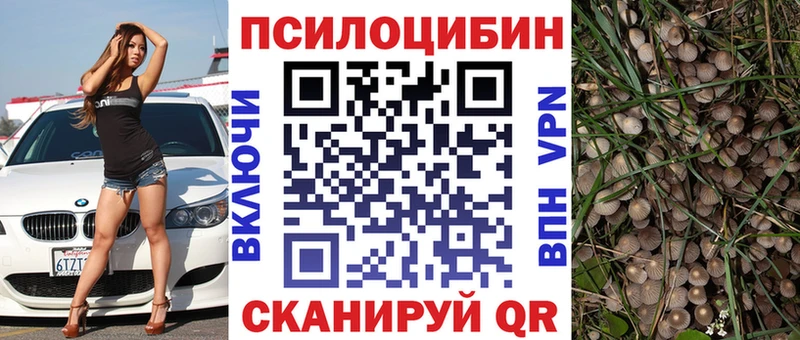 продажа наркотиков  Безенчук  Псилоцибиновые грибы GOLDEN TEACHER 